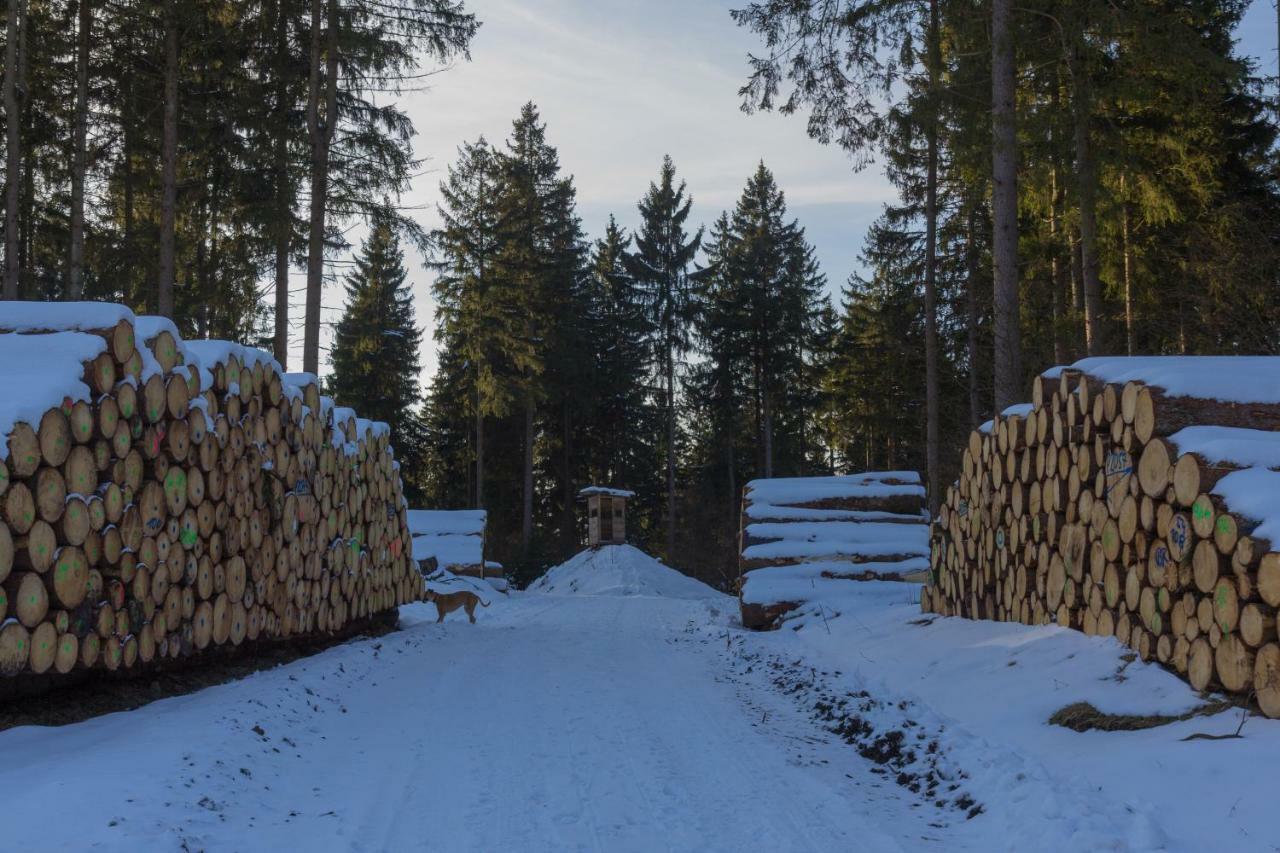 Welt Lodge ألتيناو المظهر الخارجي الصورة
